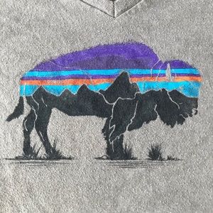 Patagonia bison T-shirt